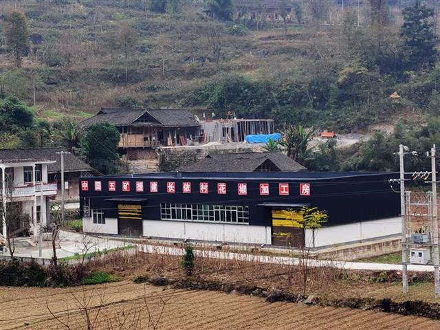 性爱网