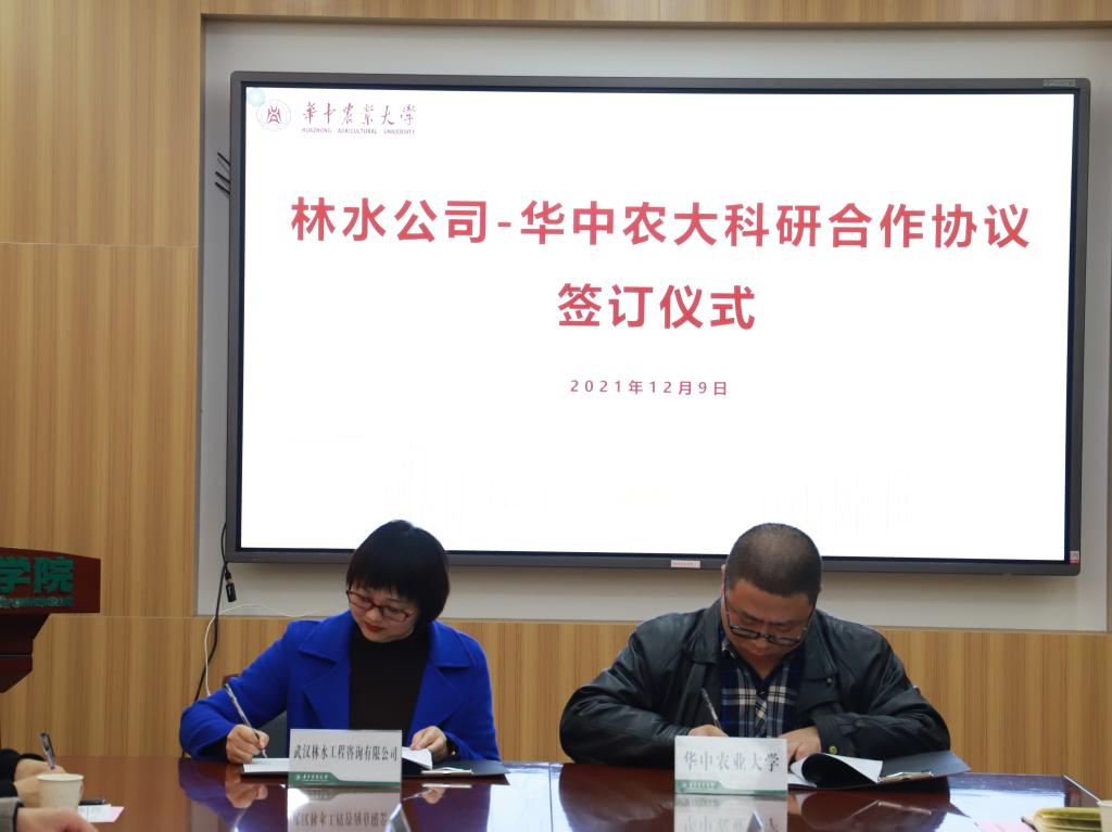 性爱网