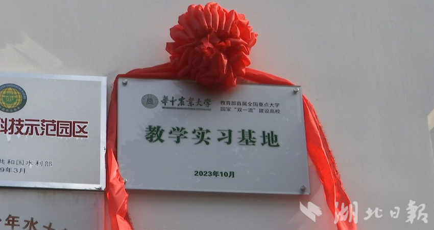 性爱网