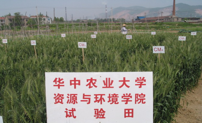 性爱网